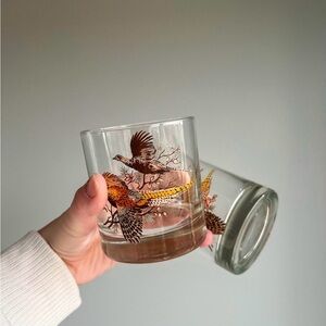 Vintage Bird Design Glass Tumblers